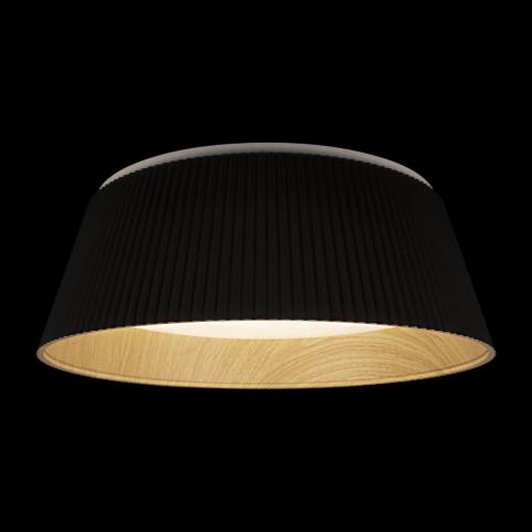 Потолочный светильник Loft IT Evans 10224 Black