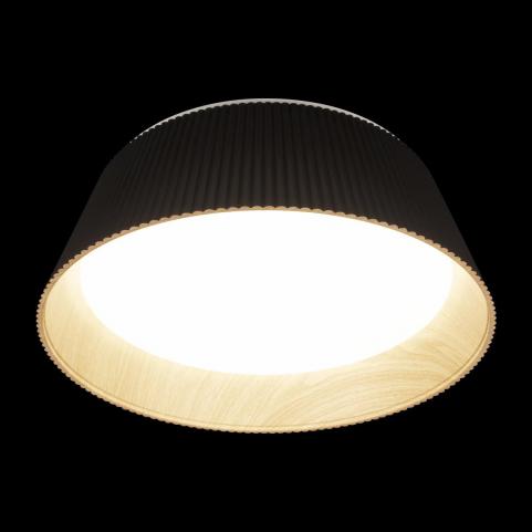 Потолочный светильник Loft IT Evans 10224 Black