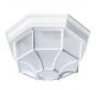 Уличный светильник Arte Lamp Pegasus A3100PL-1WH