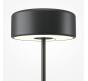 Настольный светильник Maytoni AI Collaboration MOD229TL-L3B3K2