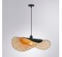 Светильник подвесной Arte Lamp Woodstock  A7063SP-1BK
