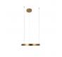Подвесной светильник Loft IT Ring 10013M