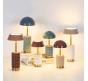 Настольный светильник Odeon Light Lulu 3000 5454/6TL